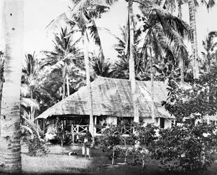Szingapúr: egy privát bungaló pálmafákkal körülvéve. Szingapúr, 1875