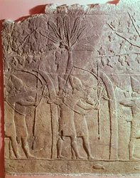 Alammu ostroma Szanherib serege által (i.e. 704-681) részlet a délnyugati ninivei palota táblájáról, ie 700 körül (gipsz) (lásd még: 85705)