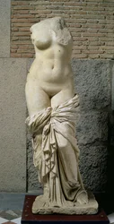 A Sinuessa Aphrodite (márvány)
