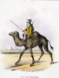 The Swift Messenger, 1845
