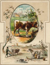 A tehén. Metszet "Mon premier Grand Alphabet"-ben. Bernardin-Bechet kiadás, Párizs, 1890 körül. Illusztrációi: A. des Lilleuls. Oldal nélkül, 46 oldal. Mérete: 31x22 cm.
