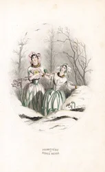 A díjak átütik a havat és primevere egy havas tájban - Eau forte, Charles Geoffroy (1819-1882), Jean Ignace Isidore Gerard dit J.J.J.J.Granville (1803-1847) illusztrációja alapján, Les fleurs animees című művéhez.