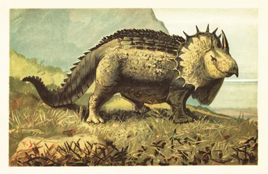 Triceratops prorsus, kihalt növényevő dinoszaurusz.1908 (litográfia)