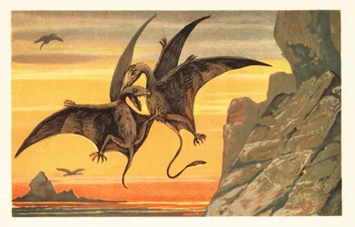 Két pterodaktilus harcol repülés közben a karmazsinvörös égbolt ellen.1908 (litográfia)