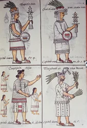Tzapotlatena, Chalchiuhtlatonal, Cioapipitli és Tliltecuhtli, Firenzei kódex, kétnyelvű változat spanyol és nahuatl nyelven, Az új Spanyolország dolgainak általános története, Aztec