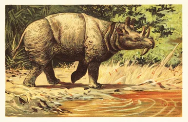 Uintatherium anceps, kihalt növényevő emlős az eocénben.1908 (litográfia)