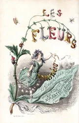 Une fee des fleurs setient sur une feuille et holds un ruban (címlap) - Charles Geoffroy (1819-1882) metszete, Jean Ignace Isidore Gerard dit J.J.J.J.Granville (1803-1847) illusztrációjáról, a Les fleurs animees című kötethez.