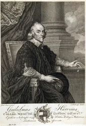 William Harvey angol orvos