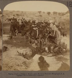 Tüzérségi lovak itatása, Welgelegen, Dél-Afrika