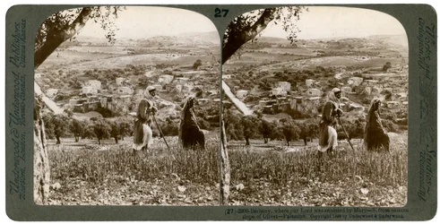 Betánia, az Olajfák hegyének keleti lejtőjéről nézve, Palesztina, 1899.