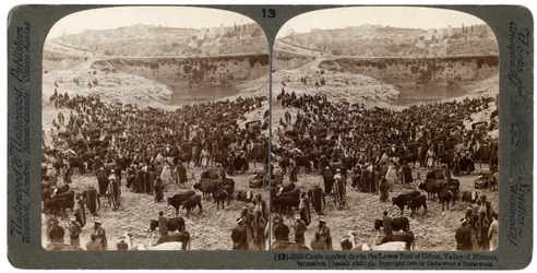 Marhapiac napja, Gihon alsó medencéjében, Hinnom-völgy, Jeruzsálem, Palesztina, 1900.