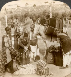 Szakértők selyemgubókat vásárolnak Franciaországba, Antiochiába, Szíriába, 1900-as évek exportra.