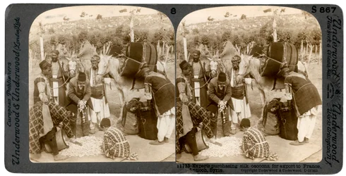 Szakértők selyemgubókat vásárolnak Franciaországba, Antiochiába, Szíriába, 1900-as évek exportra.