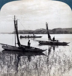Napnyugtakor hazaérkező halászhajók, Yokohama közelében, Japánban, 1904.