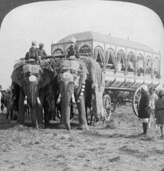 Gazdagan díszített elefántok és Rewa maharadzsa kocsija Delhi Durbarban, Indiában, 1903