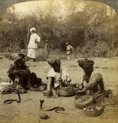 Snake charmers, Delhi, India.