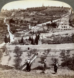 A Gecsemáné kertje és az Olajfák hegye, Palesztina, 1908.