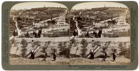 A Gecsemáné kertje és az Olajfák hegye, Palesztina, 1908.