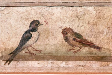 Fecske és veréb, római falfestmény a Pompeii melletti Boscoreale-ből, 1. század