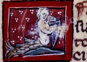 Szirén – a 14. század bestiáriuma. Milánó, Library Trivulziana.