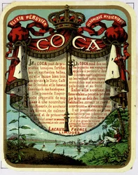 A Coca (kokainból kivont termék) reklámozása: „” The Peruvian Balsamic Hygienic Exilir COCA””, 19. századi kromolitográfiája.