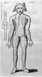 De Acupunctura, W.Ten Rhijn. London 1683. Az akupunktúrával foglalkozó első nyugati szöveg.