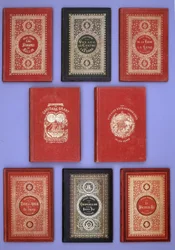 Jules Verne Hetzel kiadásban megjelent könyveinek különböző borítói. Verne könyvtári gyűjtemény. Párizs.