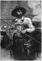 Volt gazdálkodó: bivalyhajtó (mozzarelláért tenyésztett bivaly) Metszet a „” The Illustrous World”-ben”
