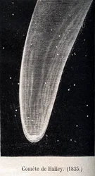 Halley-üstökös 1835 – metszet 1867 körül