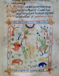 Juhok és pásztorok világító oldala, a Varmondo kódex része, C.1000