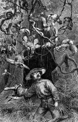 Illusztráció A természettudós az Amazonas folyón", Henry Walter Bates (metszet)
