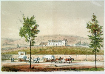 Le clos Vougeot, a Cote d