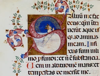 Lettrine S: David in the Deep Light - Antifónia a 15. században. Városi Bibl. Riminiből.