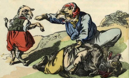 Medor megmenti Kis Szakácsot a farkastól. A „Bon medor és a kis Chevrette” című mese illusztrációja. A „” Mesék otthonról a kicsiknek” c. századi névtelen metszet.