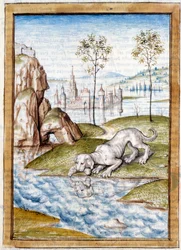 Miniatűr állatok Bidpai „” Kalila (Calila) és Dimna”” meséinek német fordításából. 15. századi Chantilly, Musee Conde