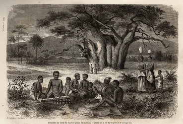 Marimbát (balafon és prekolumbiai hangszerek keveréke) játszó zenészek a Zambese folyó partján. Metszet Dr. Livingstone első dél-afrikai útjainak illusztrálására 1840 és 1856 között, a „Le tour du monde, nouveau Journal des voyages” c.
