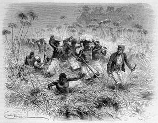 A Chisera áthaladása Livingstone és portásai által - „” Livingstone utolsó útja 1866-1873”” a „” A világ körül” című részben, 2. szem. 1875