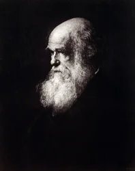 Charles Robert Darwin (1809-1882) portréja