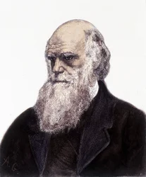 Charles Robert Darwin brit természettudós (1809-1882) portréja