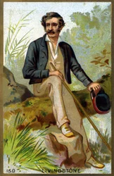 David Livingstone (1813-1873) portréja. A 19. század végének kromolitográfiája.
