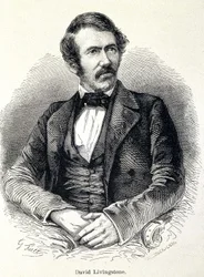 David Livingstone skót misszionárius (1813-1873) portréja