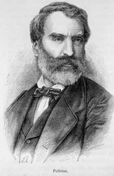 Eugene Pelletan (1813-1884) francia újságíró, író és politikus portréja.