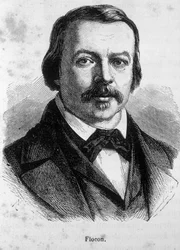 Flocon francia újságíró és politikus portréja (1800-1866)