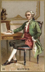 Georges Louis Leclerc, Buffon gróf (1707-1788), francia természettudós és író portréja. Kromolitográfia 19. század.
