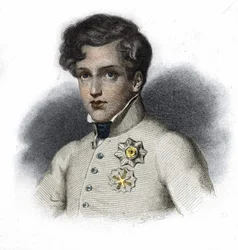 II. Napóleon, I. Napóleon fia, Reichstadt hercege (1811-1832) portréja