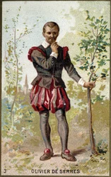 Olivier de Serres (1539 - 1619) francia agronómus portréja. 19. századi kromolitográfia.