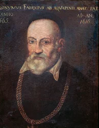 Hieronymus Fabricius úttörő anatómus és sebész portréja (festmény