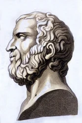 Zenon de Citium görög filozófus (Kr. e. 335 - ie 264), a sztoicizmus megalapítójának portréja. századi metszet.