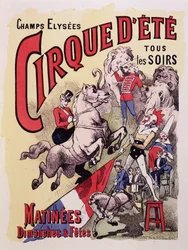 A Cirque d