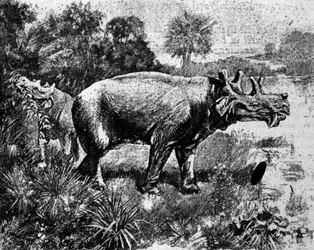 Őstörténet: egy négyszarvú Uintatherium dinoszaurusz ábrázolása.